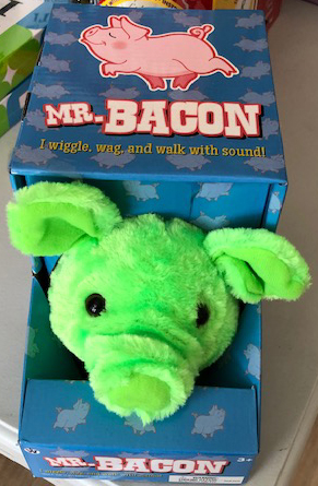 mr bacon walking pig